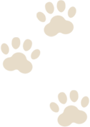 cat_nikukyu