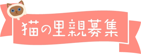 foster_ribbon