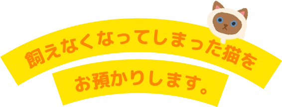 mv_title