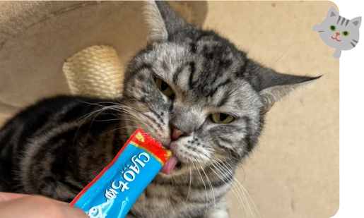 service_cat_02