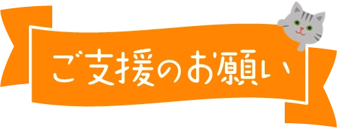 support_ribbon