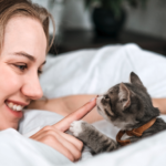 猫の里親になる条件は？準備や手続きの流れも完全解説