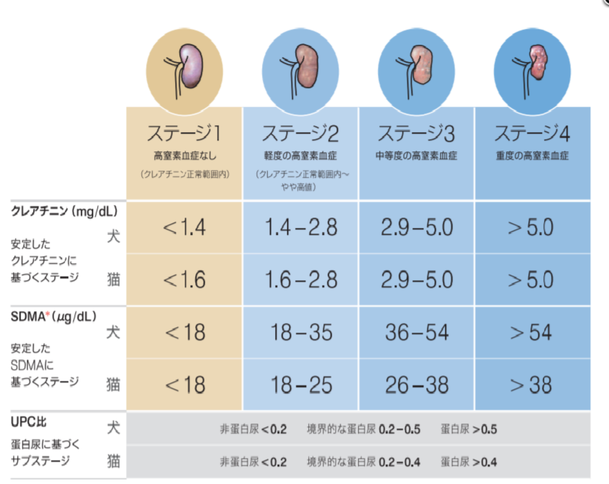 腎臓の状態とステージが分かる表
