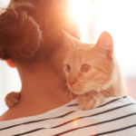 猫を飼うのにかかる費用は？初期費用と年間費用やその内訳を解説