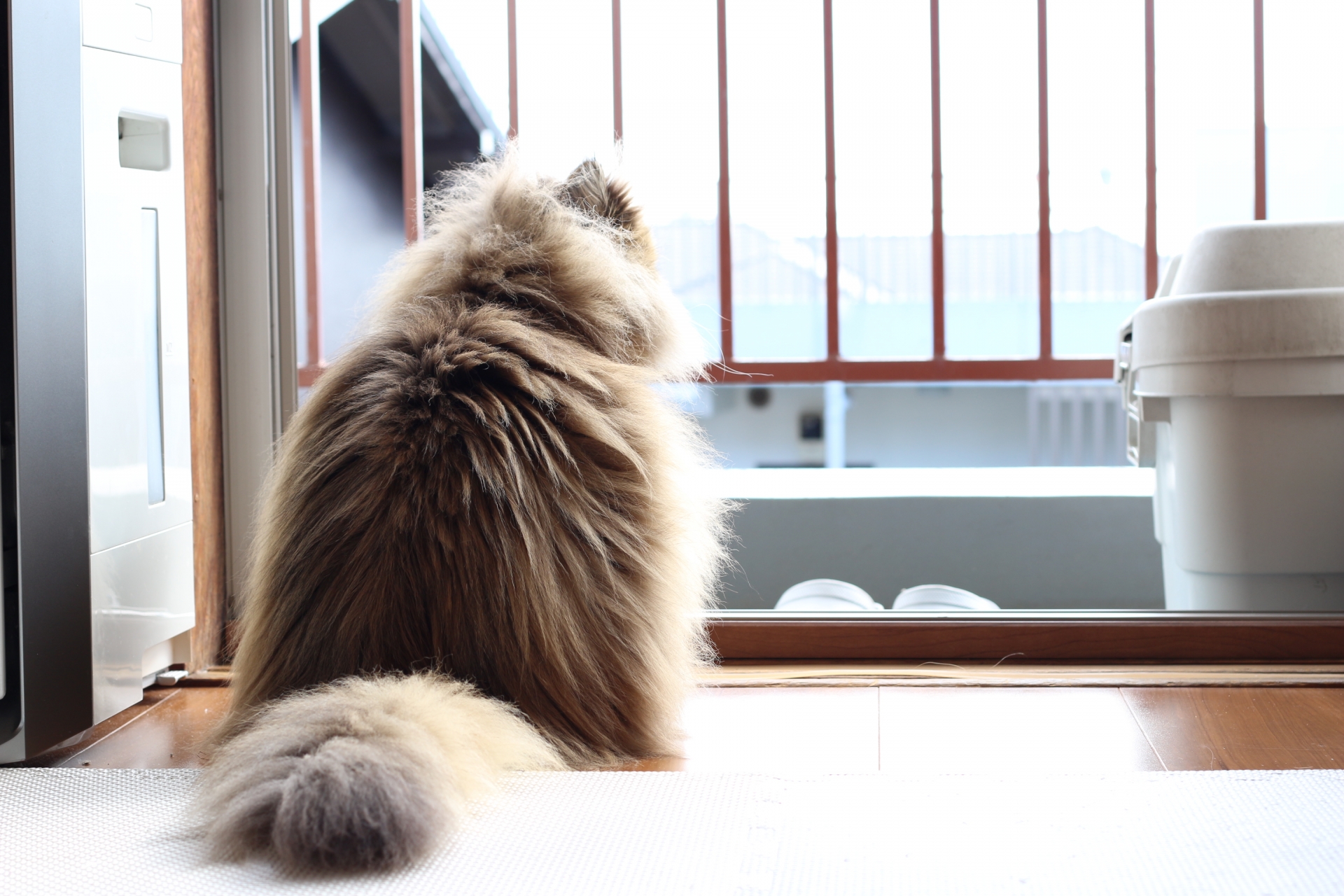 【状況別】里親を断られやすい理由